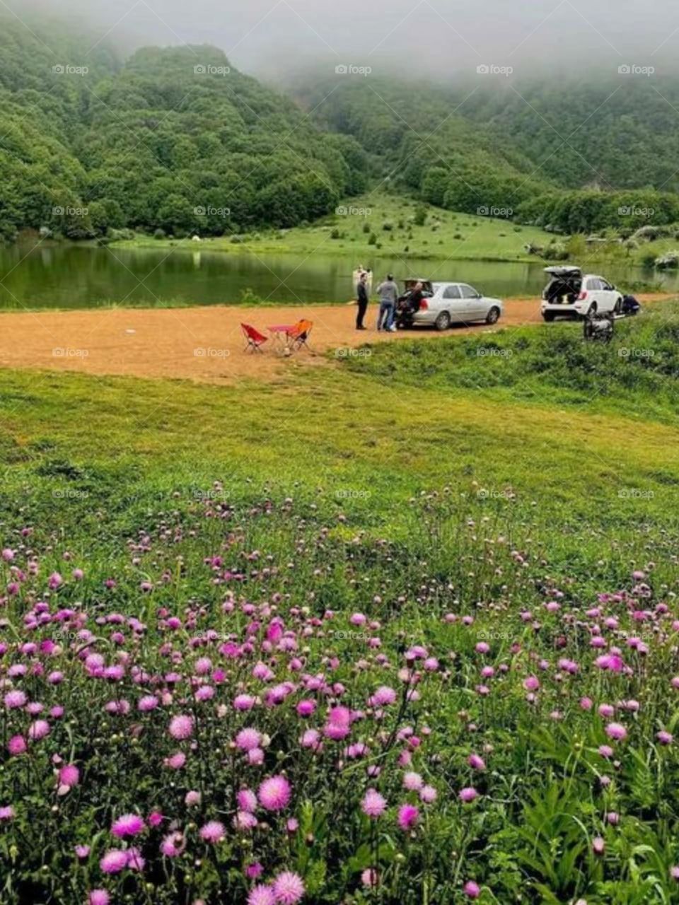 Spring is here... Time for picnic