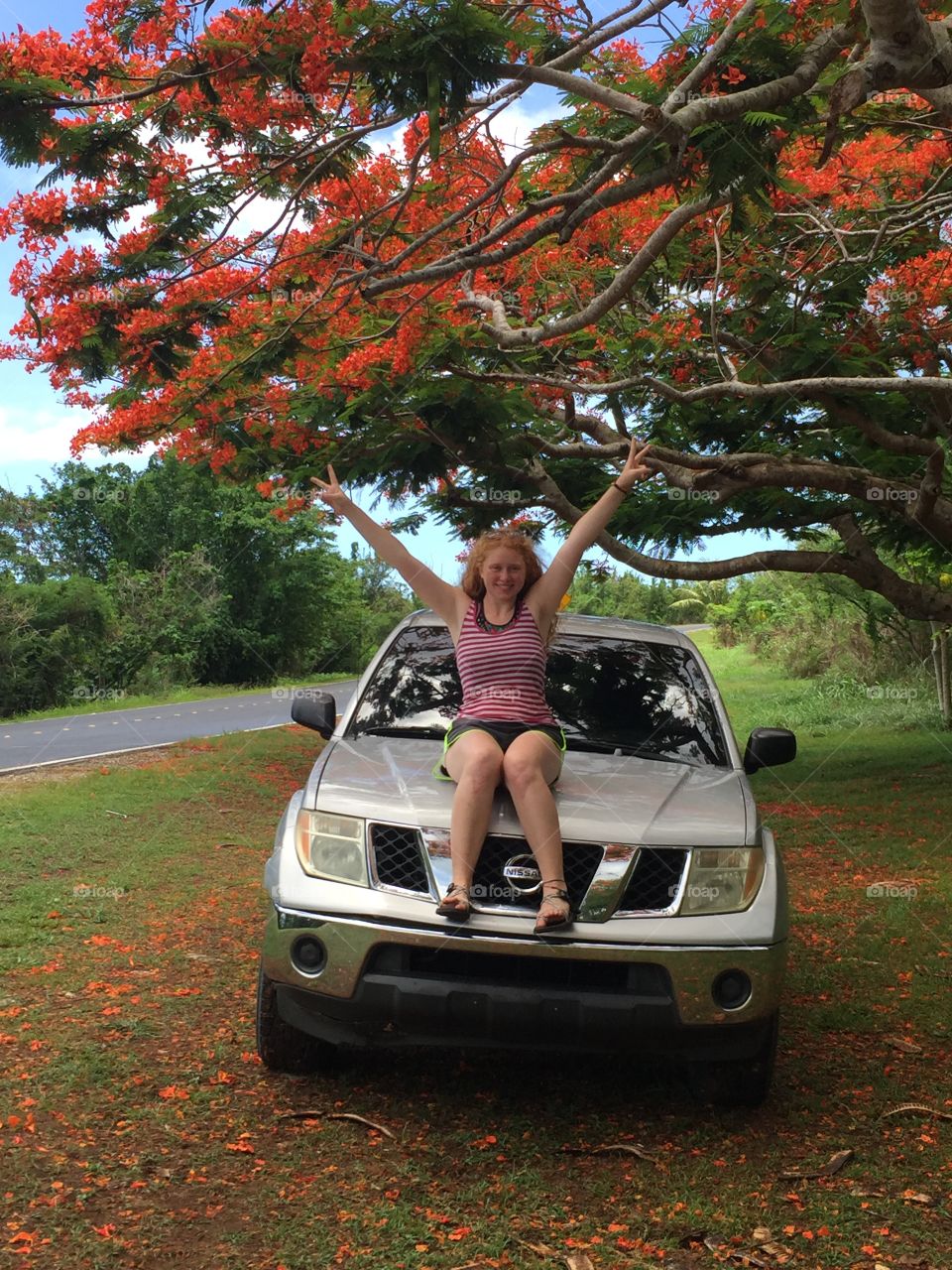 Girl sitting on the hood of a silver Nissan. Near the dome trees leading up the road to Suicide Cliff on Saipan, CNMI