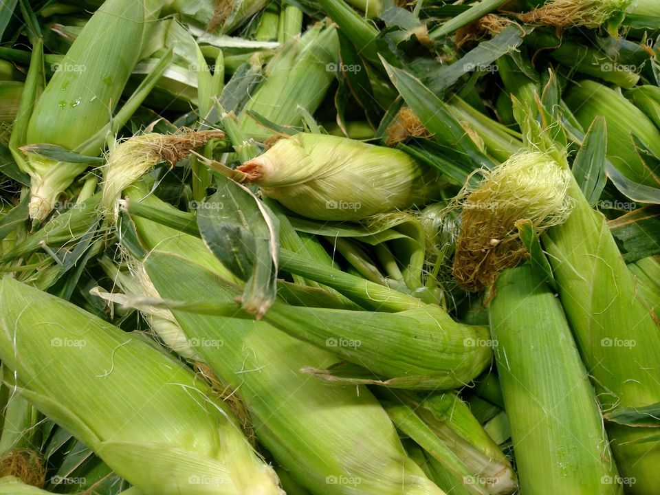 Fresh corn.