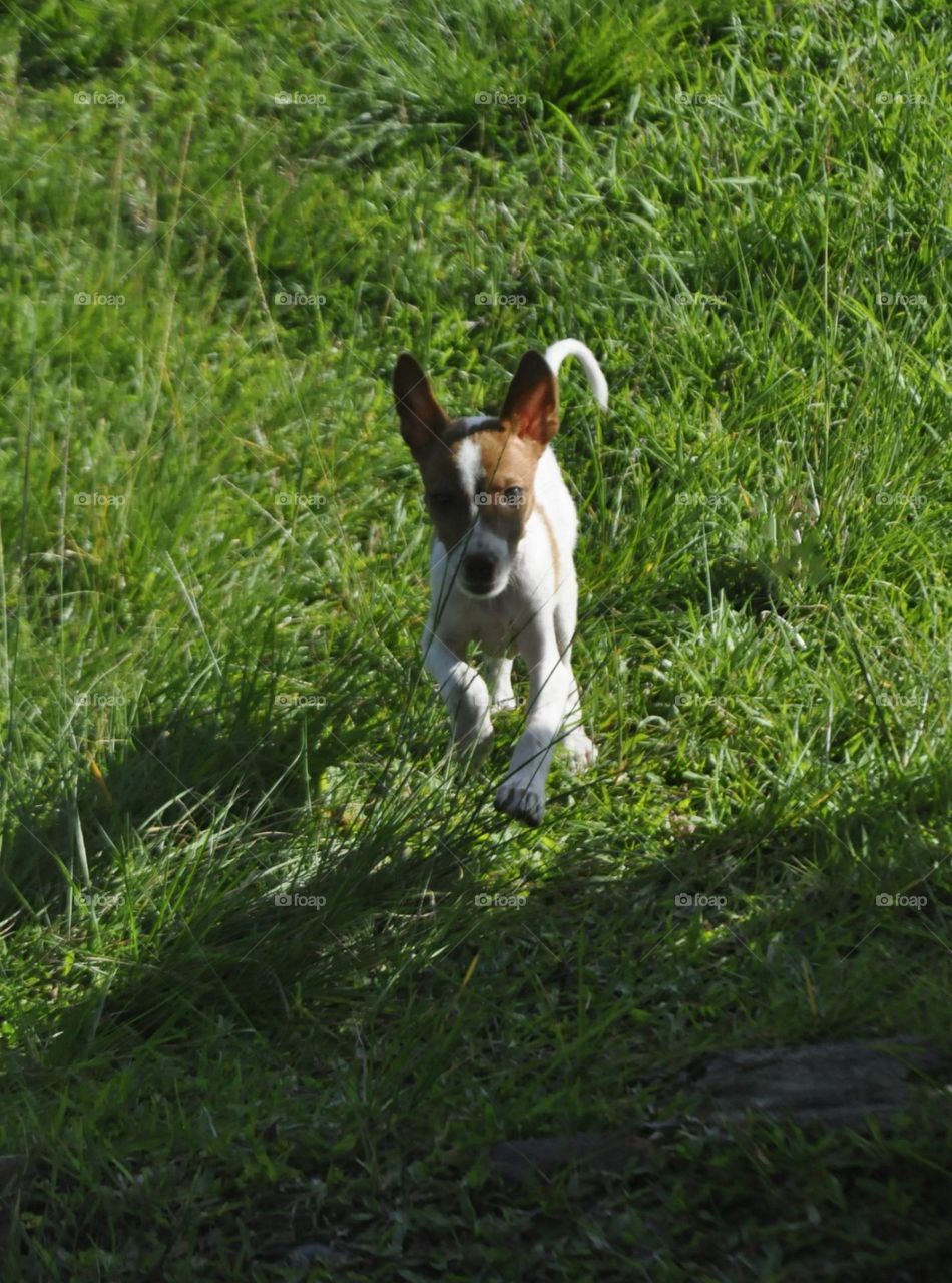 Good Morning 🌞. My name is Way. Have a nice day all 😊🐈