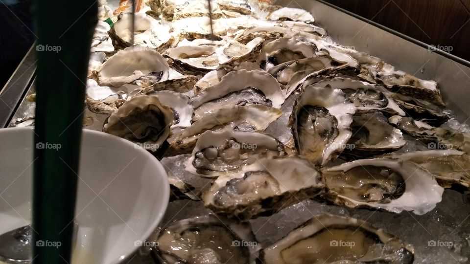 fresh oysters
