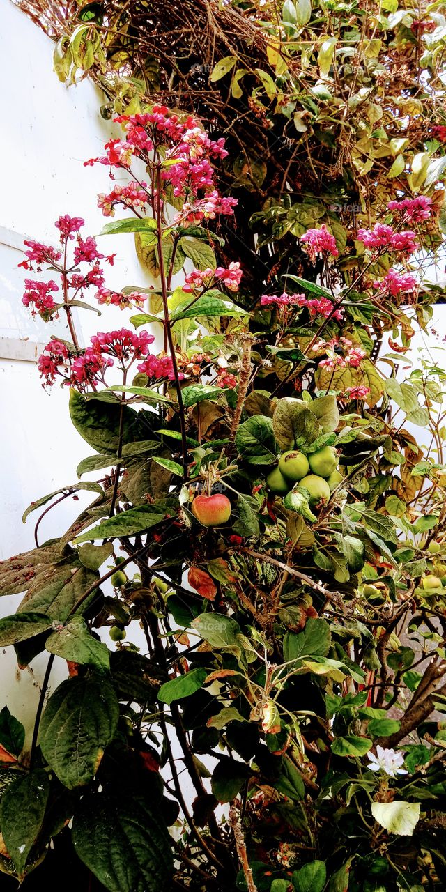 Singular and beautiful