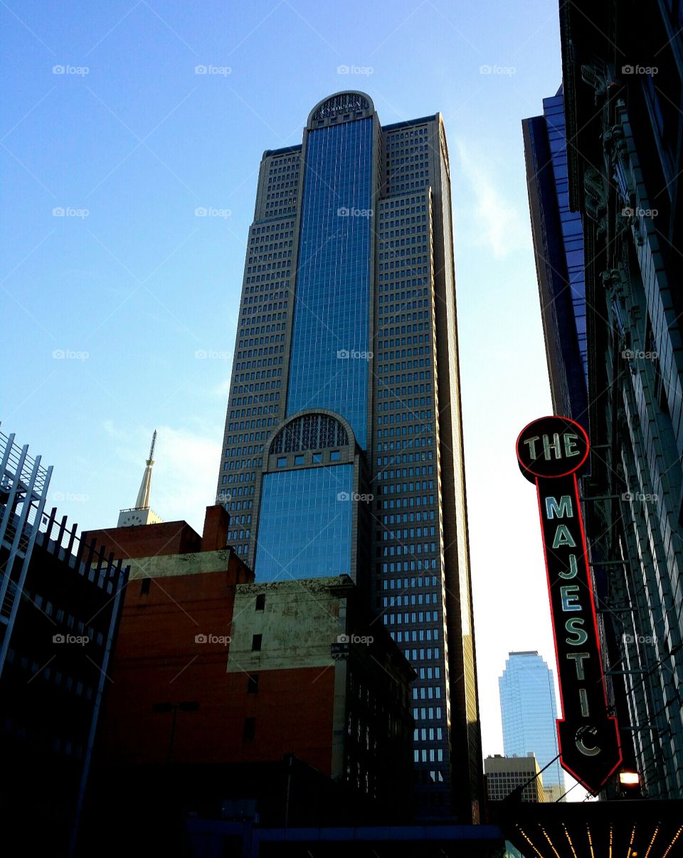 Looking Up in Dallas