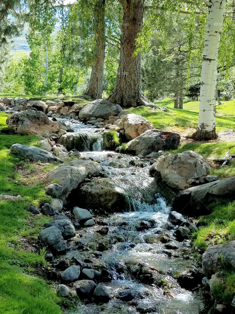 Water flowing through a rocky stream on a summer afternoon