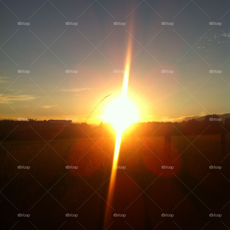 ☀️#Sol muito bonito de #natureza e #beleza indescritíveis.
Obrigado, #MãeTerra. 
🌱
#inspiração #amanhecer #morning #fotografia #paisagem #sun #céu #landscapes