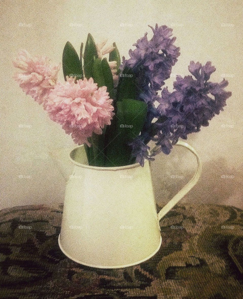 Hyacinths in enamel jug.