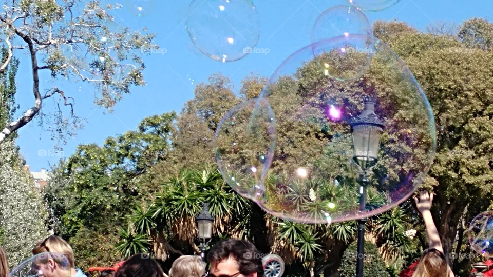 bubbles