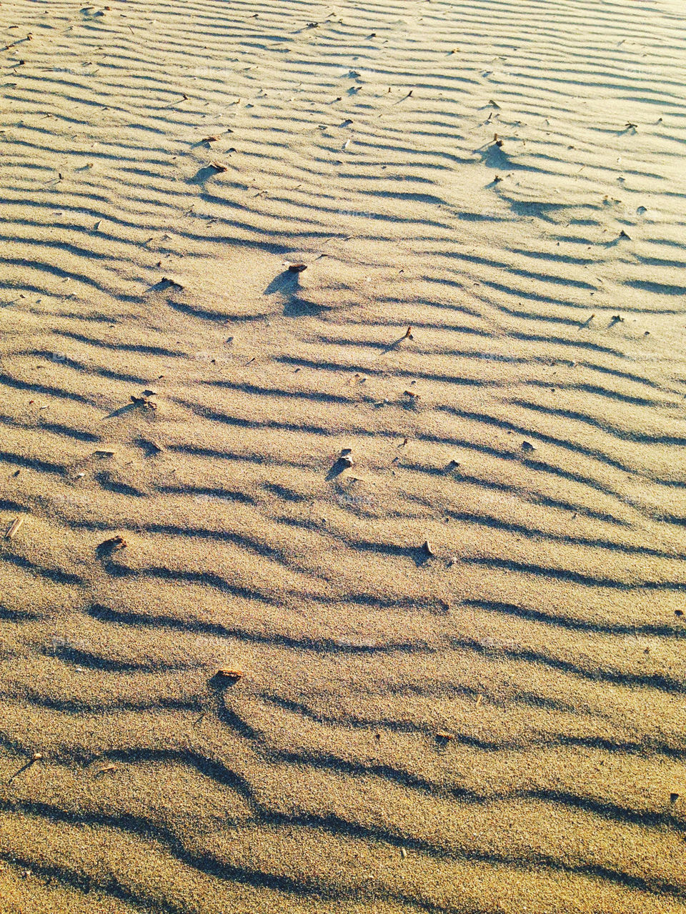 PATTERNS IN SAND