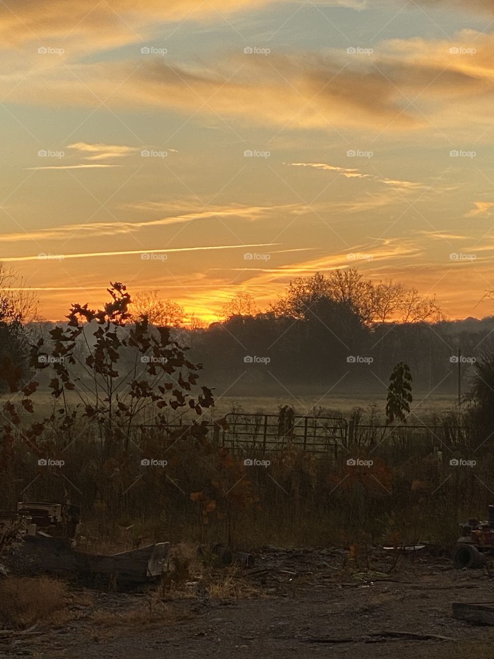 Sun rise and orange sky 