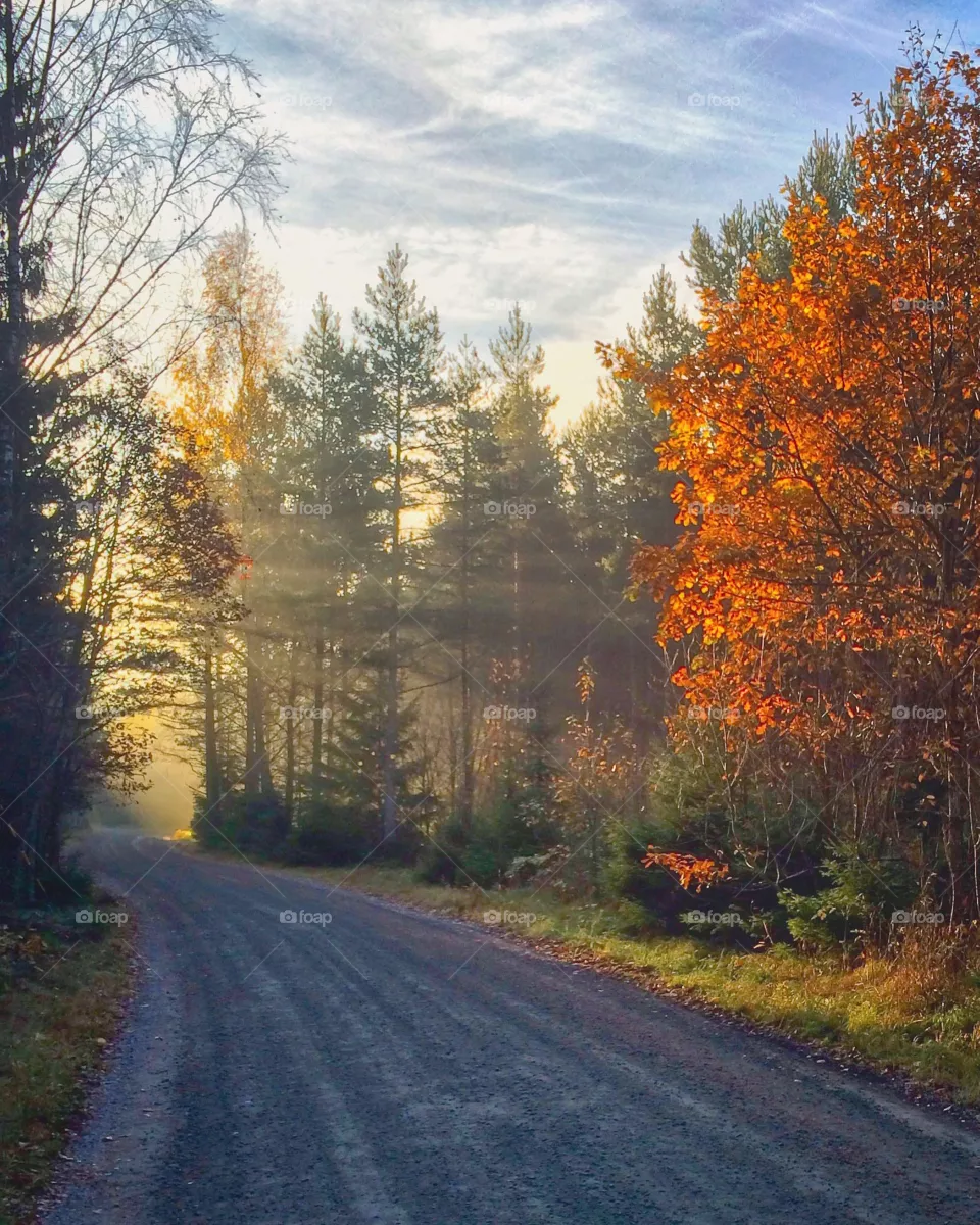 Autumn