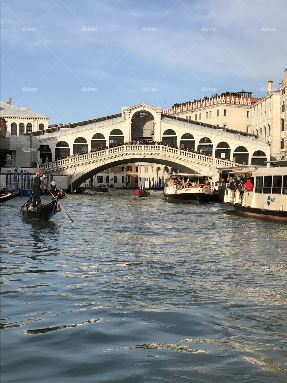 Rialto bridge Venice 