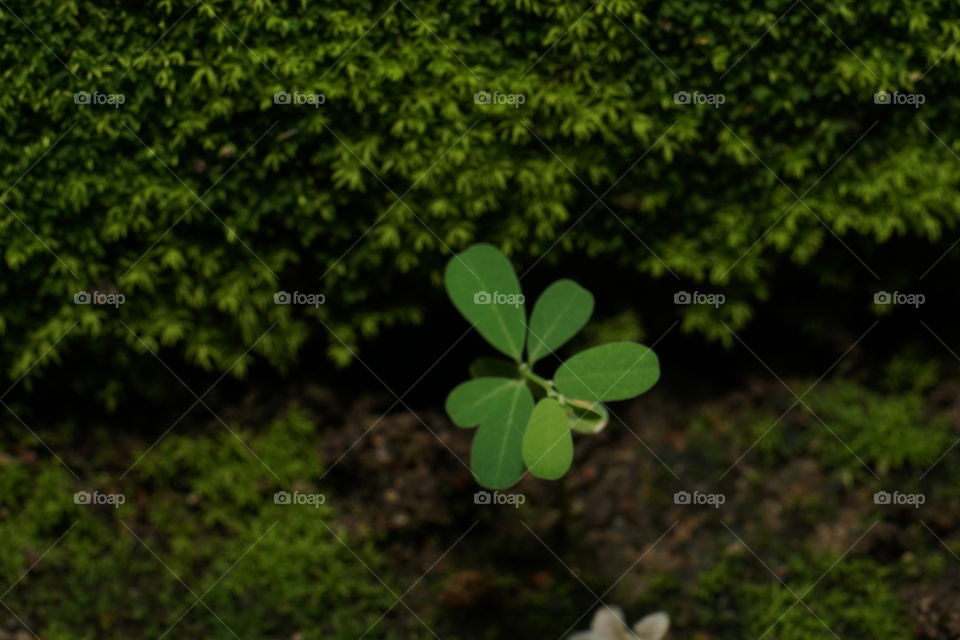 This is my first time