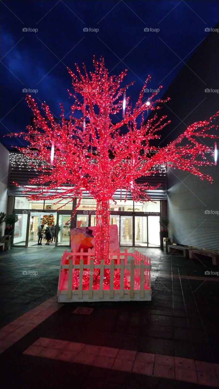 Tree, light,Christmas, winter