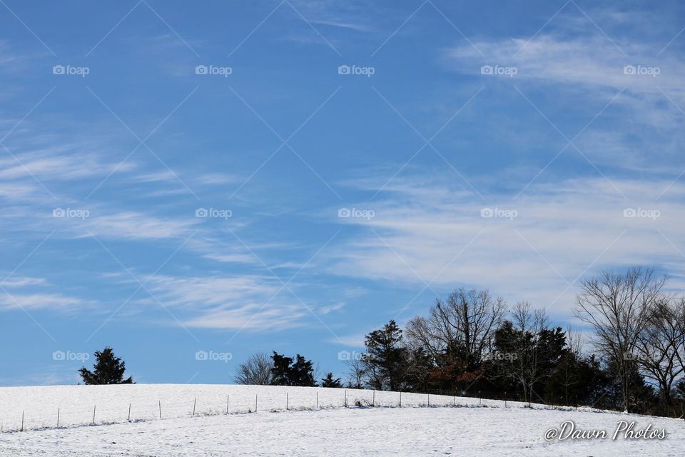 Winter over Harrison