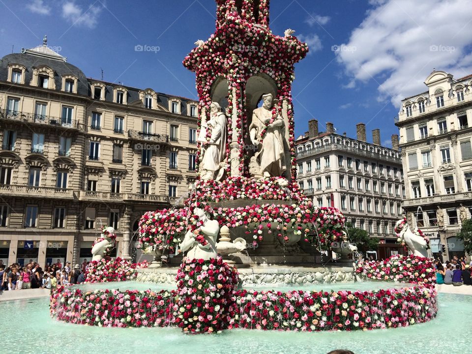 Fontaine des Jacobins recouverte des roses lors de la fête de la Rose en mai 2015 à Lyon (France)