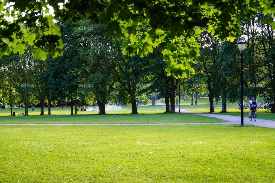 Summertime in Frognerparken. Oslo, Norway