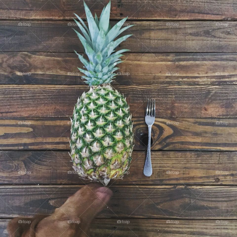 Pineapple Goodness . My dog smelling a fresh pineapple 