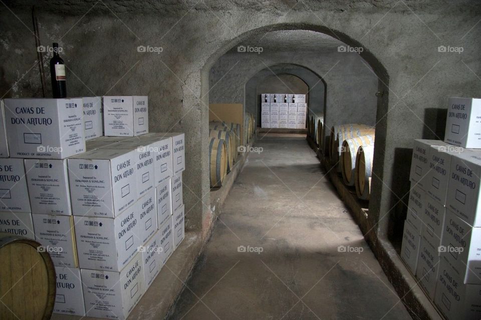 Winery Cellar