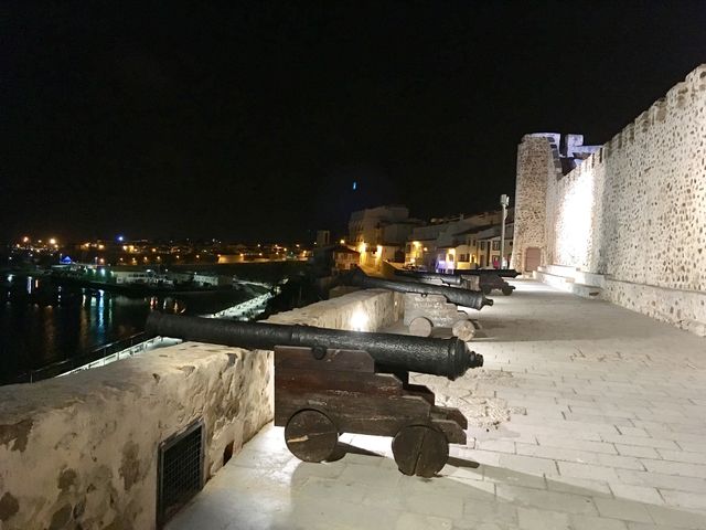 Castle and cannon 