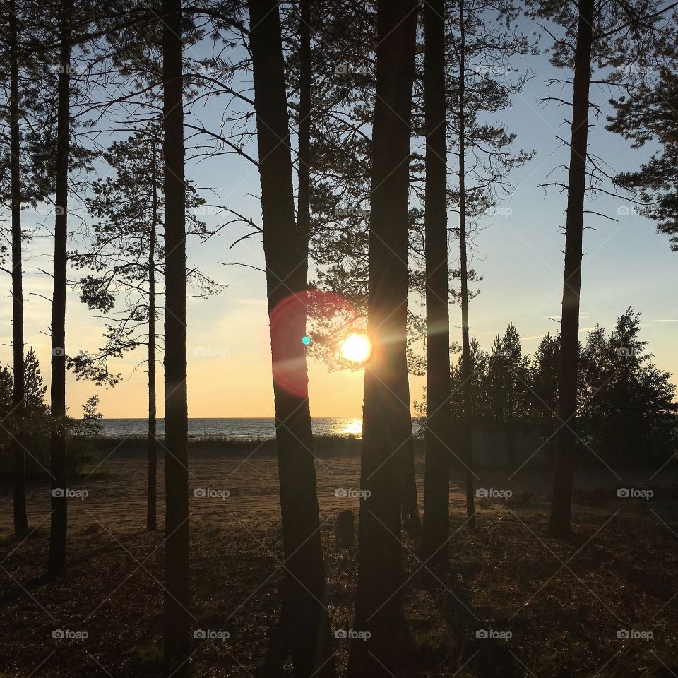 Sunset at the beach captured from the forest 🌸