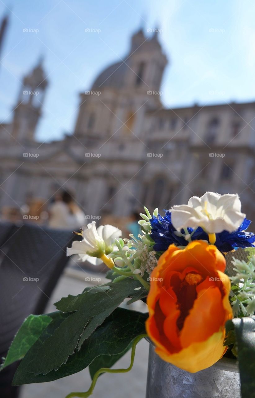 flowers italy city rome by danielinbarbon