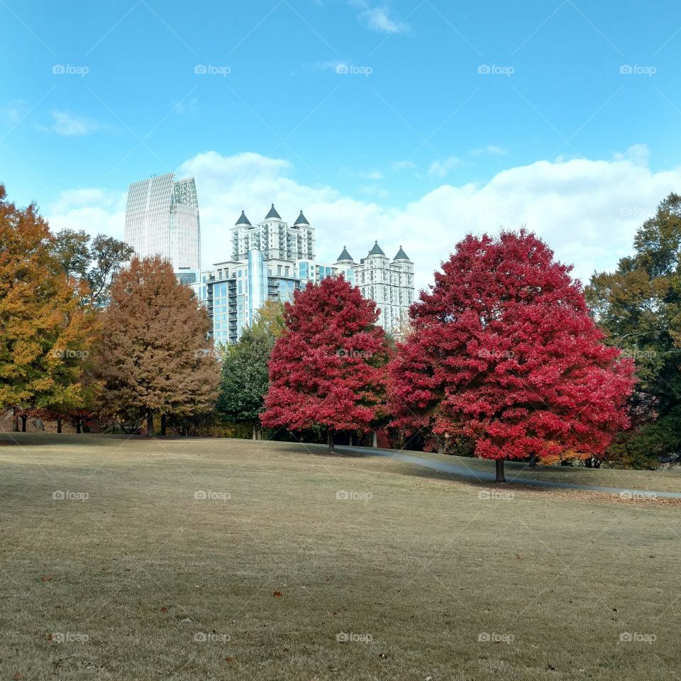 fall in Atlanta
