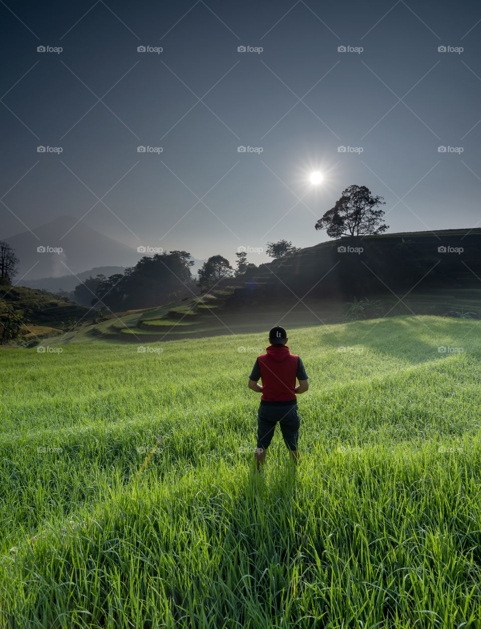 enjoy a beautiful rice terraces in the morning