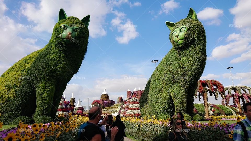 Dubai Miracle Garden