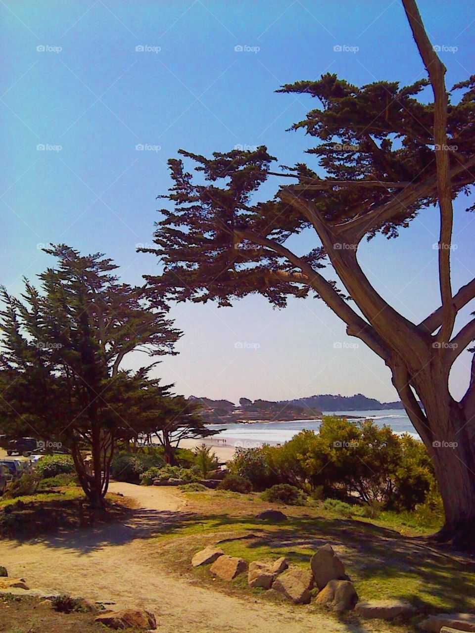 Path along Carmel beach in beautiful California.