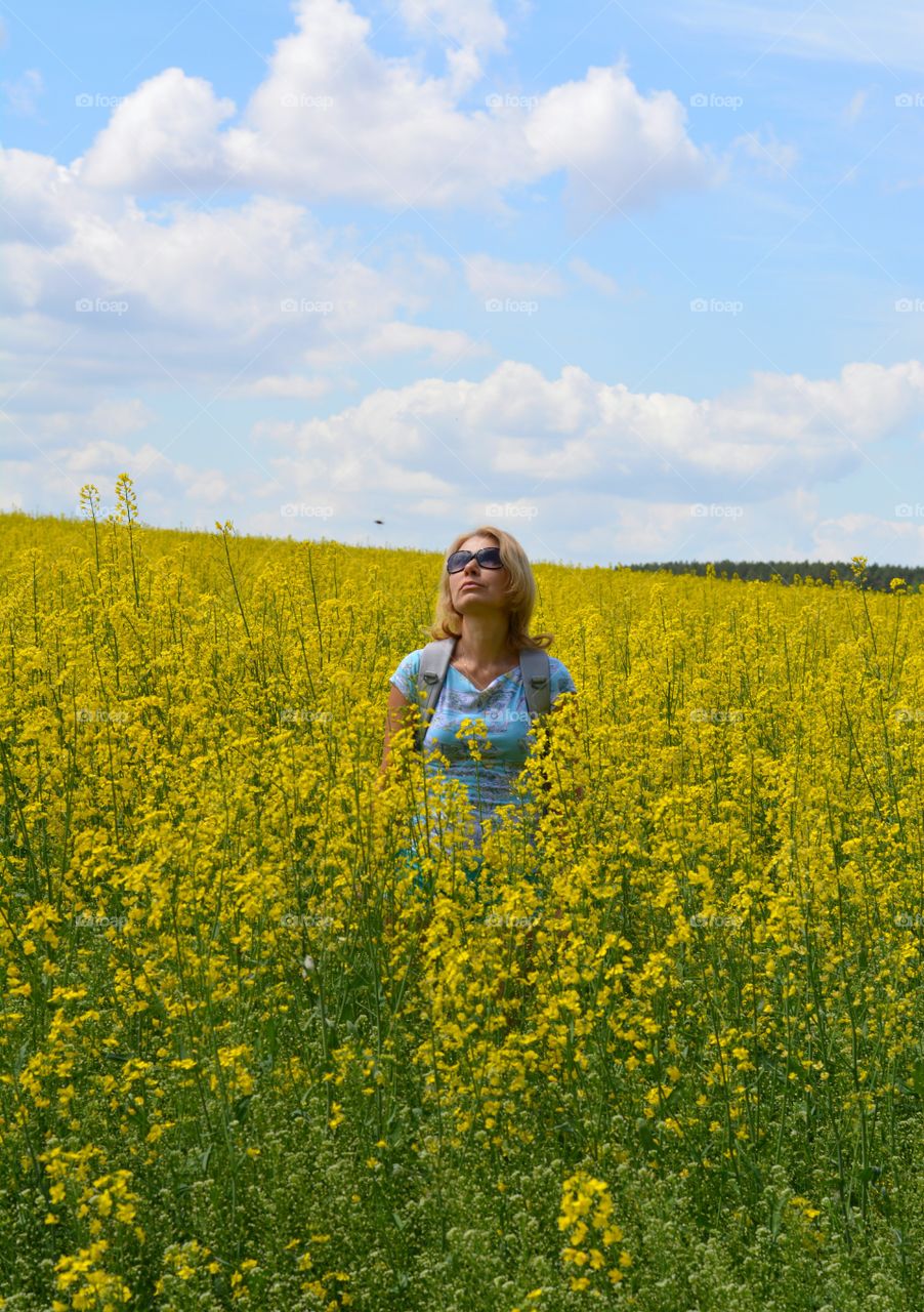 Field, Landscape, Flower, Nature, Summer