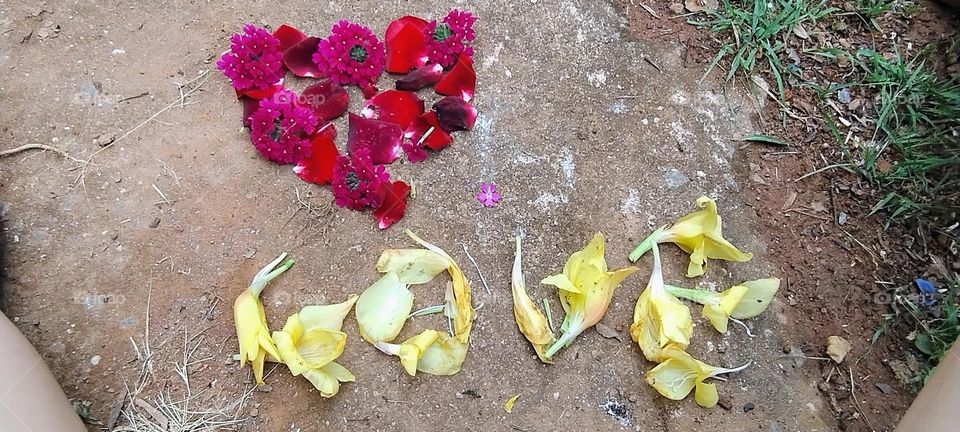 explosion of colors heart lover