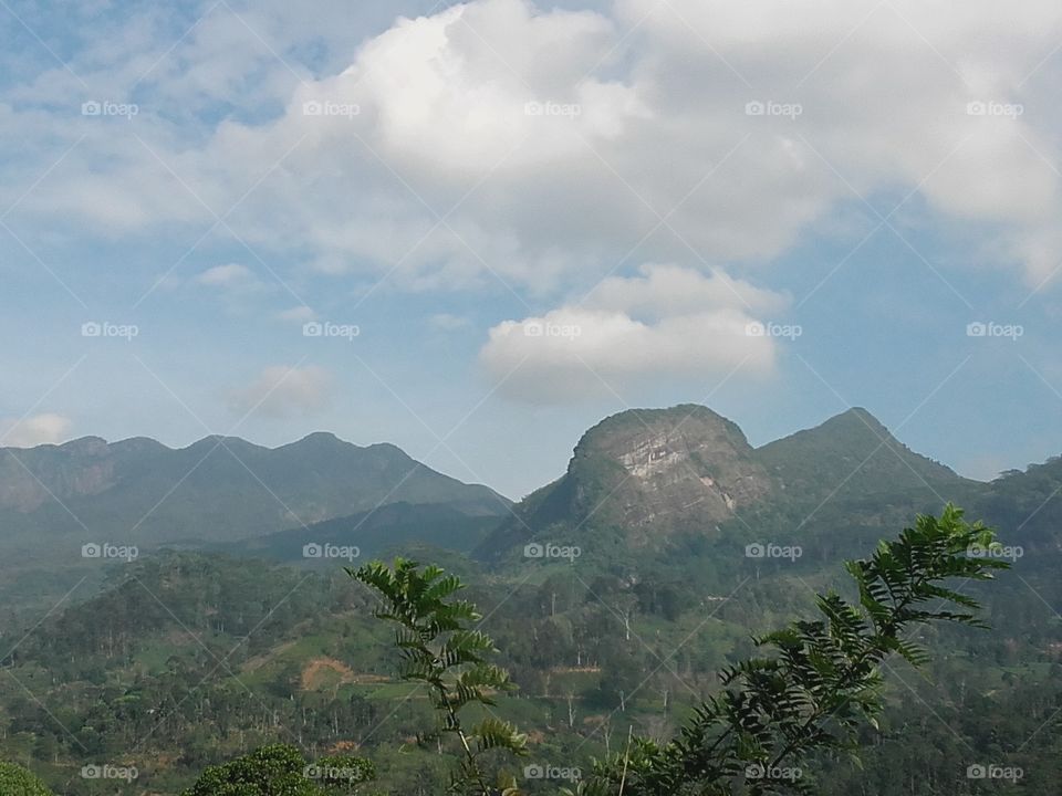 Knuckles mountain is one of the famous and tourist place in Sri Lanka