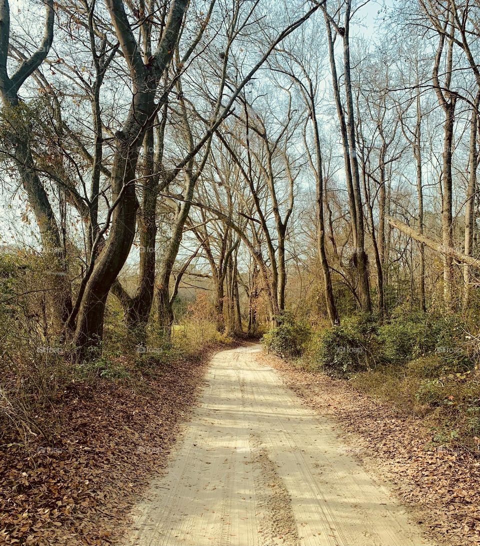 Rural road 