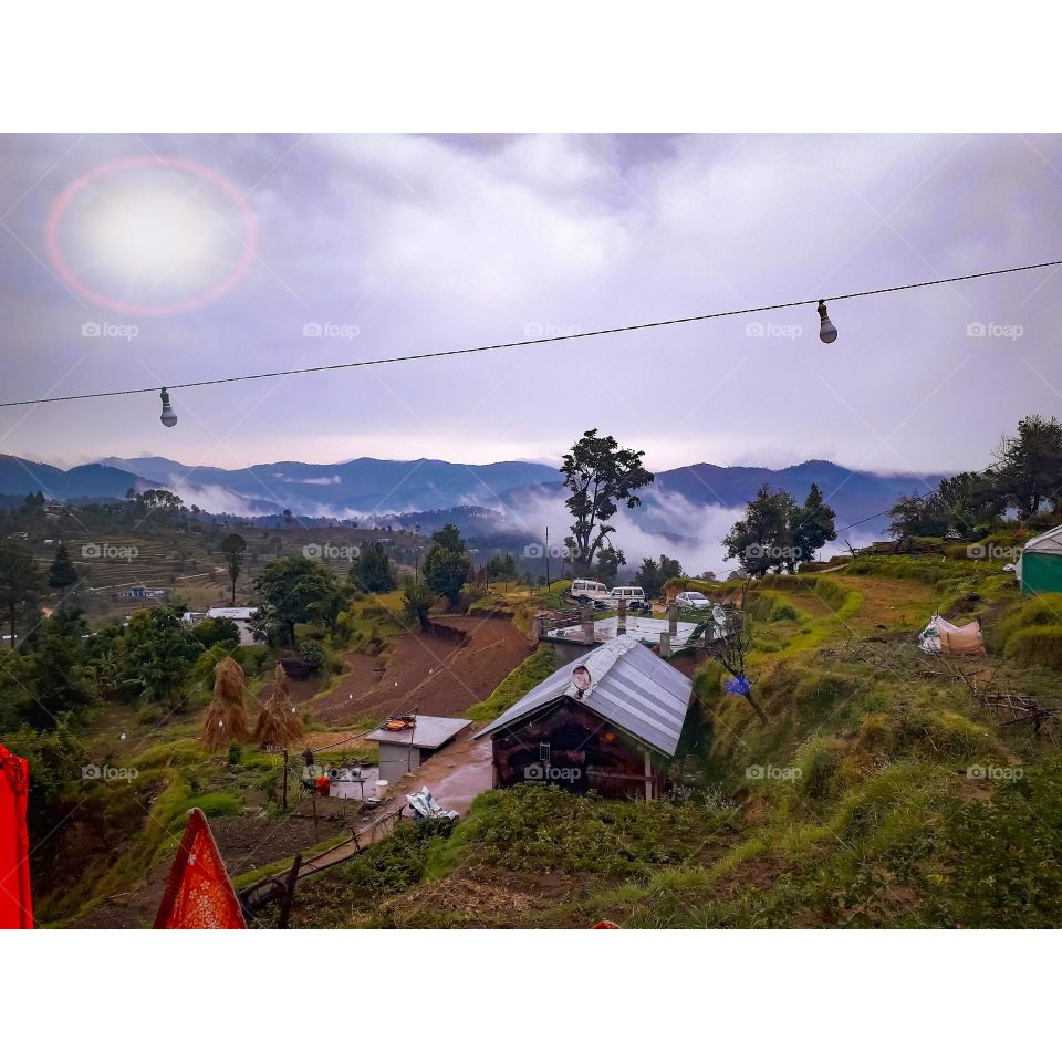 Editors' Choice: Photo of the week