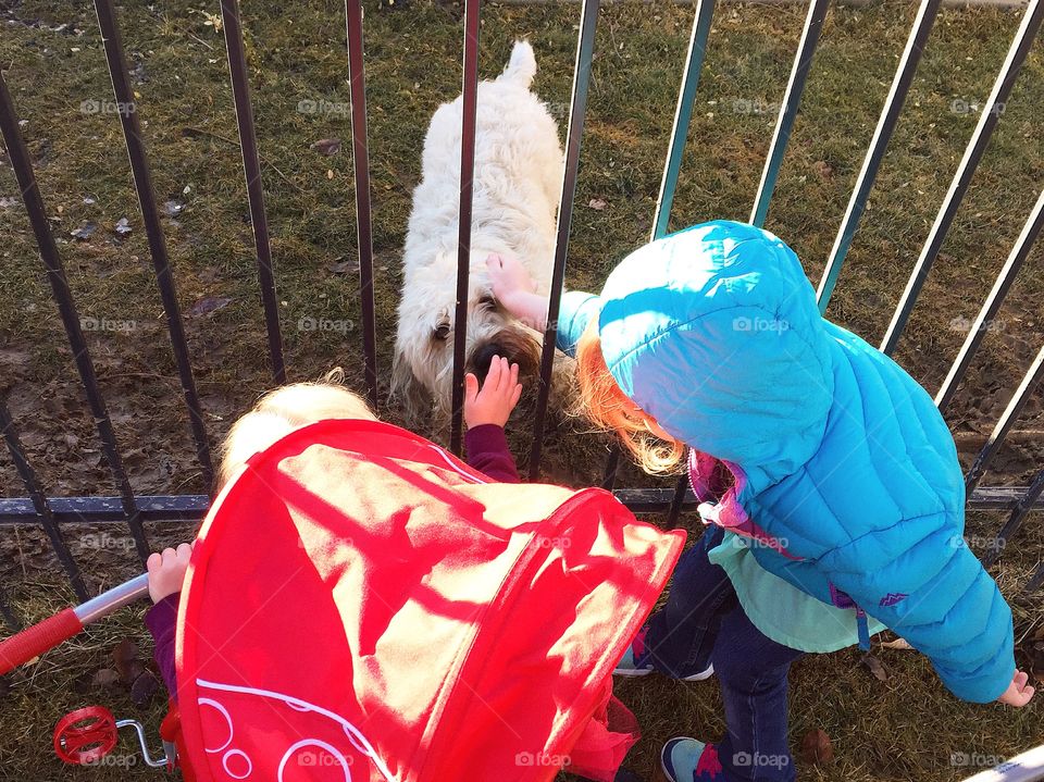 Petting the neighbors dog