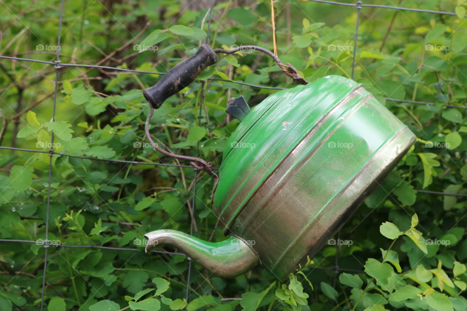 Green vintage teapot hanging on a wired fence against green bush 