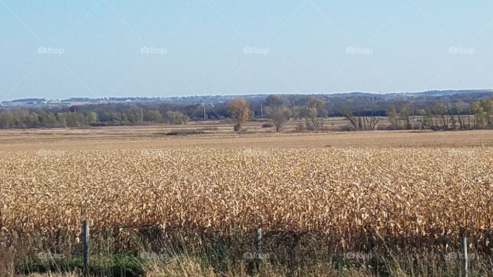 Fall fields