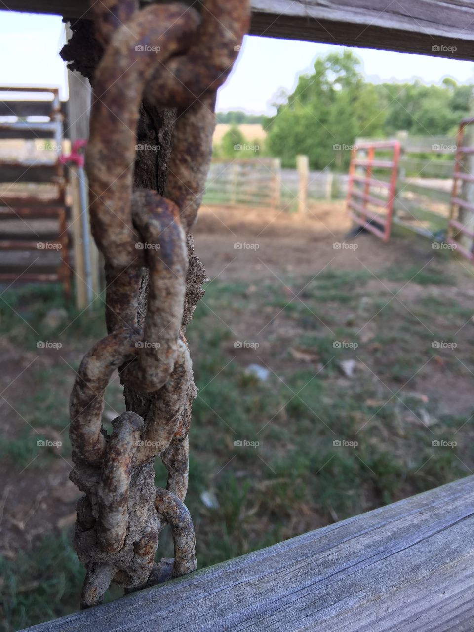 Chain foreground 