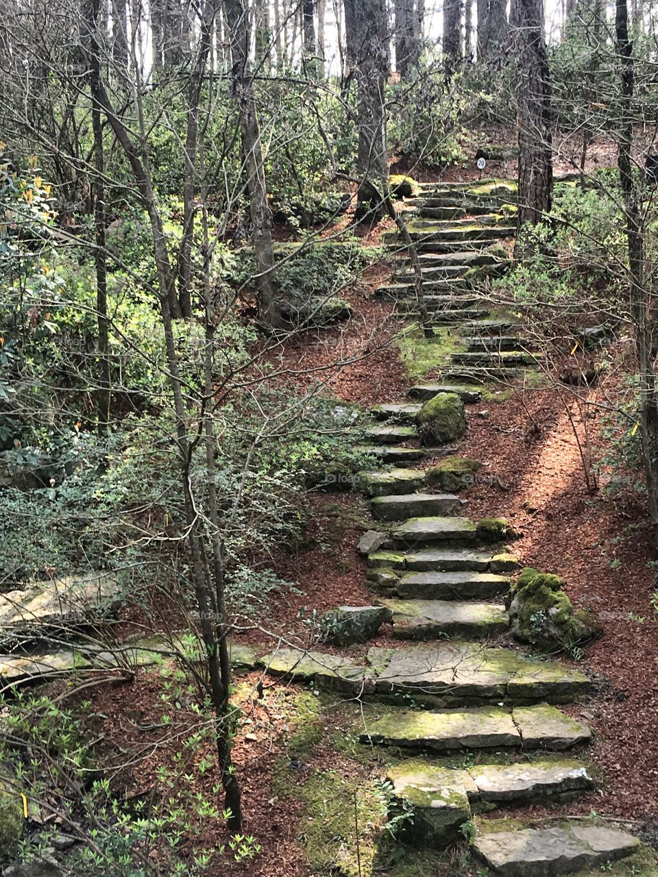 Hidden stairway