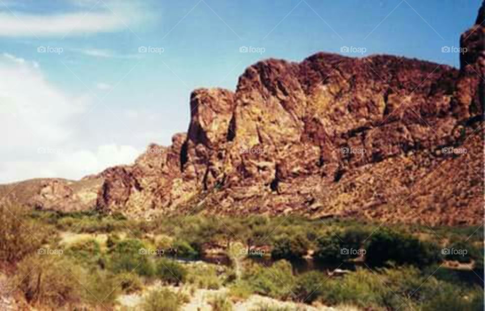 Tonto National Forest in Arizona