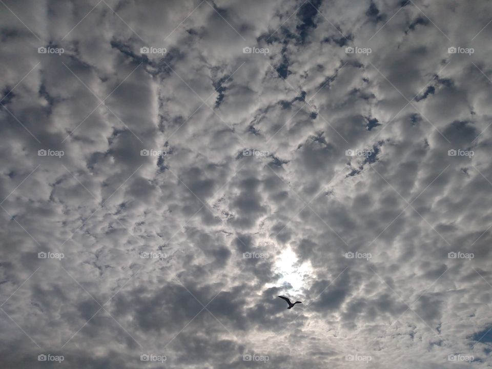 Sky with grey clouds