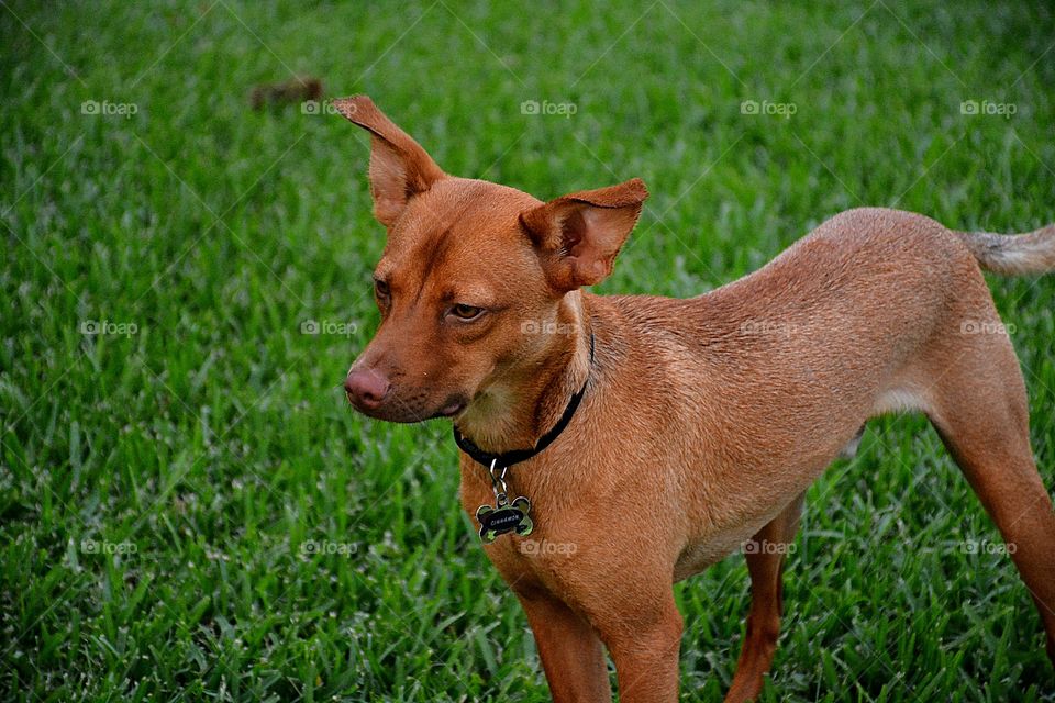 The serious look after playing