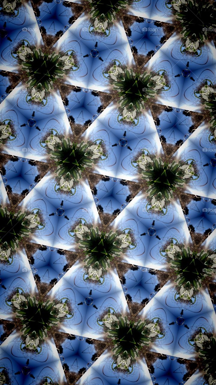 Flower Kaleidoskop 