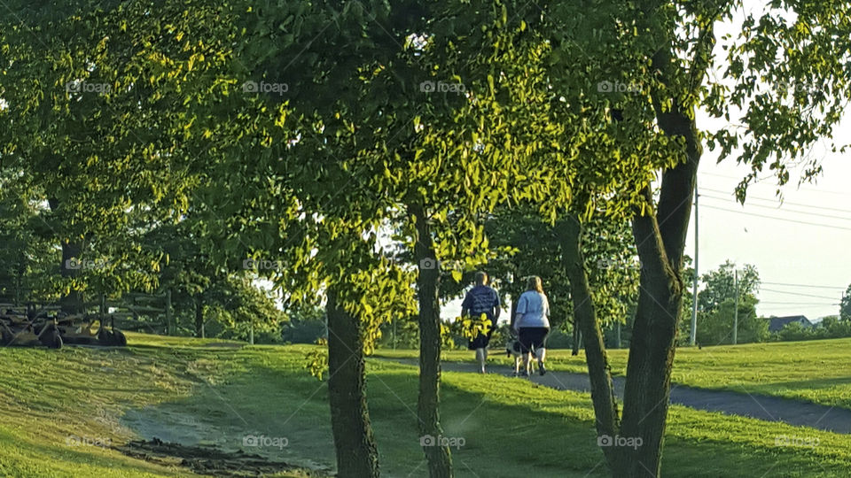 couple walking dog at park. couple takes advantage of nice weather to take their dog on a walk along the pathways of our local park