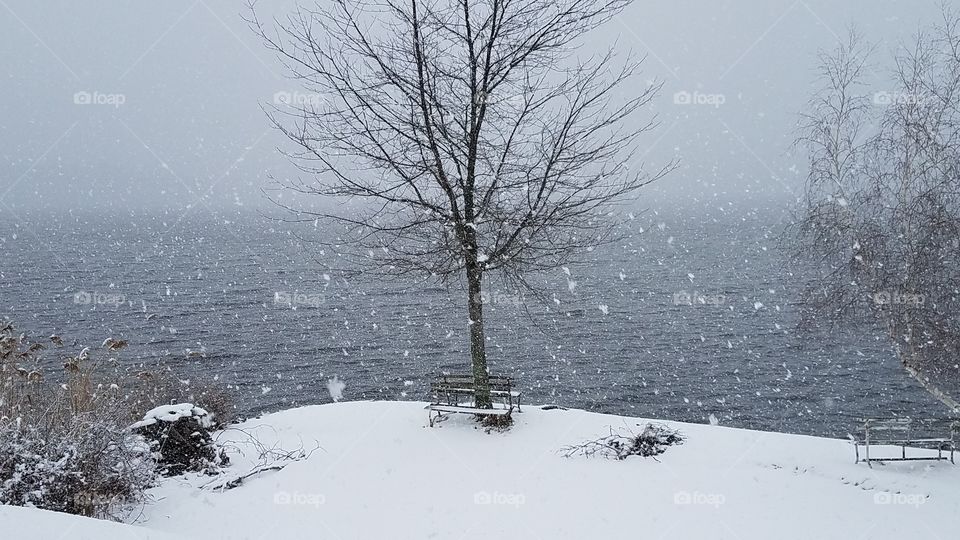 Snow on the Lake