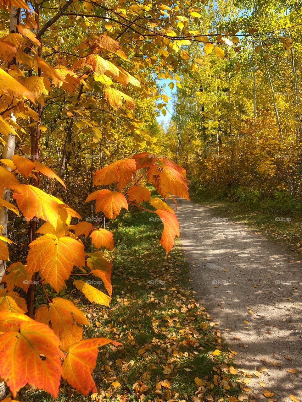 Hiking trail in autumn 