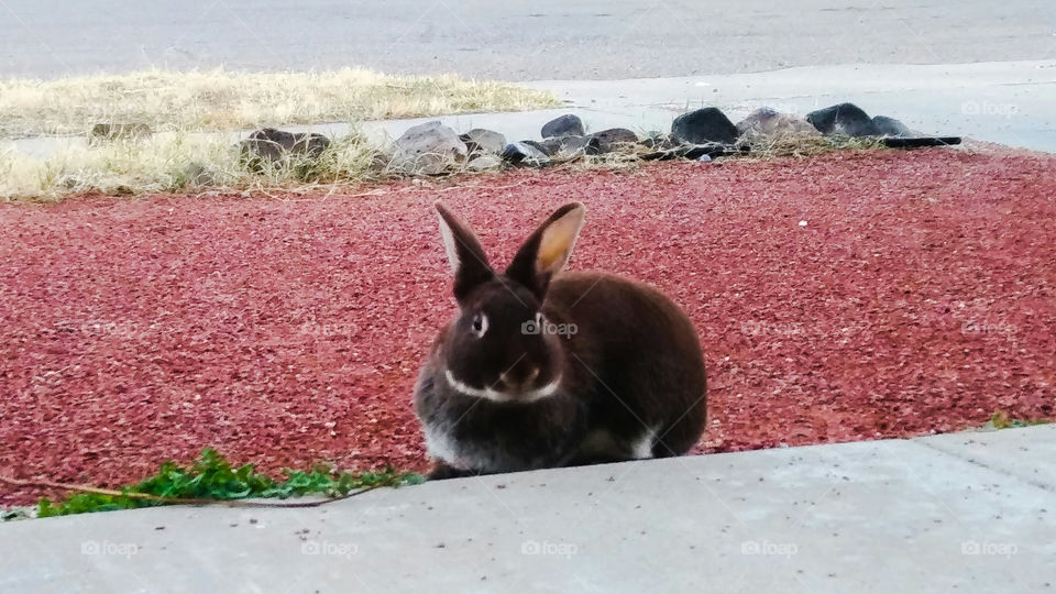 Ehh, What's up, Doc? -- Bugs Bunny