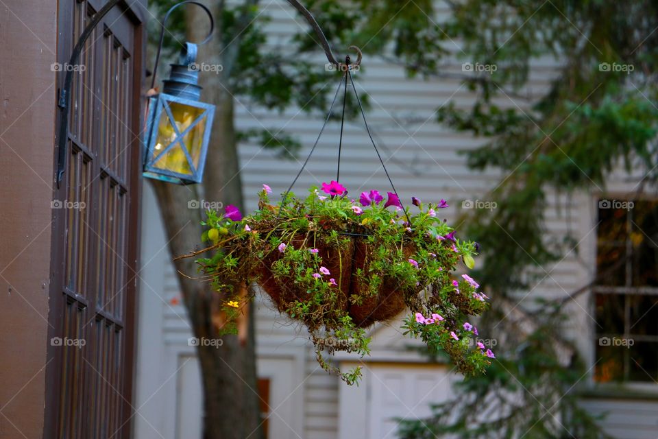 Vaas flower plant home gate