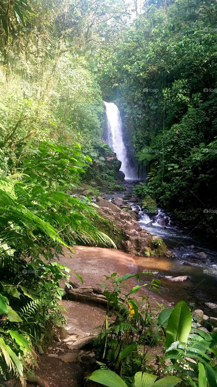 Waterfall Gardens, Costa Rica