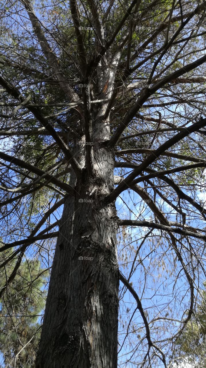 inside botanical garden